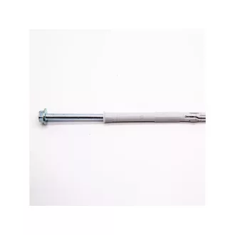 Dübel mit Rand und Gerüstschraube T40 10 x 200 mm