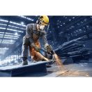 BOSCH EXPERT Winkelschleifer 230 mm EXWS30-230PB mit PROtection-Schalter / 2800 W