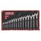 FESTA Schraubenschlüsselsatz 18-teilig 6-24 mm CrV Profi