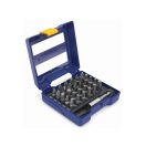 IRWIN Bitspitzen-Set 31-teilig
