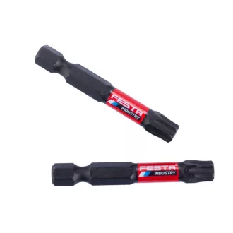 FESTA INDUSTRY Bitspitze 50 mm T40 (2 Stück)