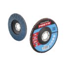 FESTA Lamellenschleifscheibe 125 x 22,2 mm / P40 Inox