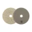 FESTA Klett-Diamant-Schleif- und Polierscheibe 100 mm / P50 nass