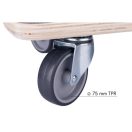 FESTA Transportwagen 250 kg