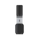 BOSCH PRO Schlag-Bitspitze H5 x 25 mm 1/4" Hex (2 Stück)