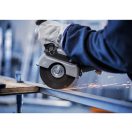 BOSCH PRO Trennscheibe inox/Metall 125 x 1,6 x 22,2 mm St. Steel & Metal Eimerverpackung (100 Stück)