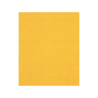   BOSCH EXPERT C470 Schleifpapier 230 x 280 mm für Holz & Farbe / P220