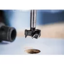 BOSCH EXPERT Forstnerbohrer 30 x 60/90 x 8 mm