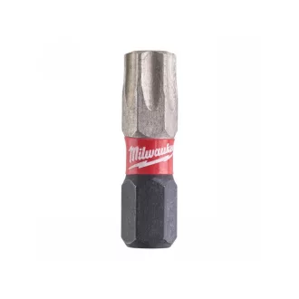 MILWAUKEE Bitspitze Torx TX40 x 25 mm (2 Stück)