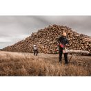 MILWAUKEE BOLT™ 200 Schutzhelm orange mit Belüftungsschlitzen