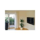 CELO GB YTONG oder Porenbetondübel 10 (4 Stück)