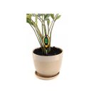 FLO Digitaler Bodenmesser mit 4 Funktionen