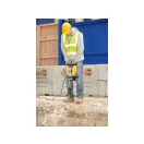 DEWALT Abbruchhammer HEX 30 mm 1600 W (Rollkoffer) D25961K