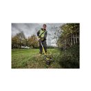 DEWALT Akku-Rasenmäher 18 V ohne Kohlebürste (ohne Akku + Ladegerät) DCM561PB