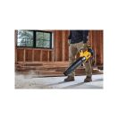 DEWALT Akku-Laubbläser 18 V (1 x 5,0 Ah Akku + Ladegerät) DCMBL562P1