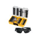 DEWALT Bitspitzen-Set 47 Teile + Schutzbrille