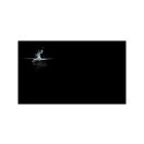 LEDLENSER Stirnlampe H5 Core 350 lm AA