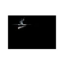 LEDLENSER Akku-Stablaterne P5R Core 500 lm Li-ion