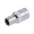 FESTA Steckschlüssel Spline 1/4" 5,5 mm CrV