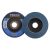 FESTA Lamellenschleifscheibe 115 x 22,2 mm / P80 Inox