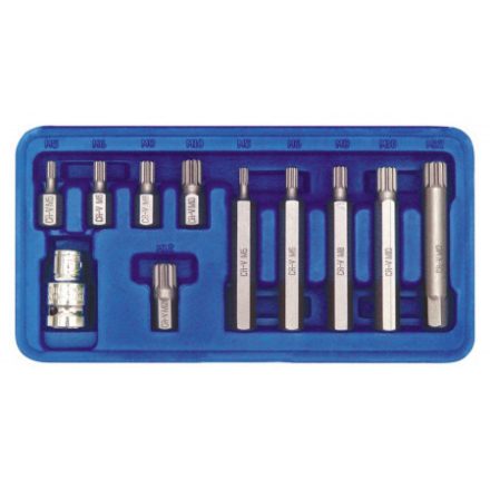 VOREL Bitsatz 11-teilig Spline M5 - M12
